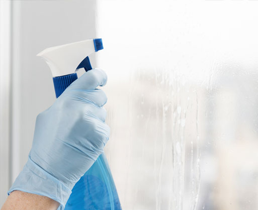 Window Cleaning